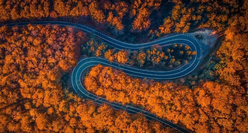 Herbst 