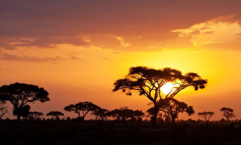 Kenia was zu sehen ist
