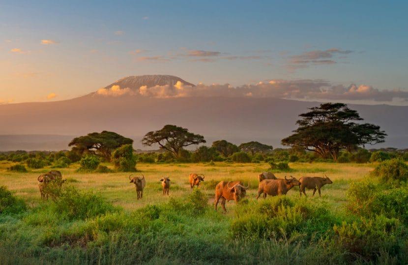 Kenia
