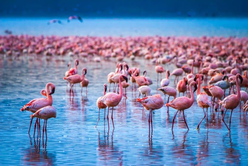 Nakuru