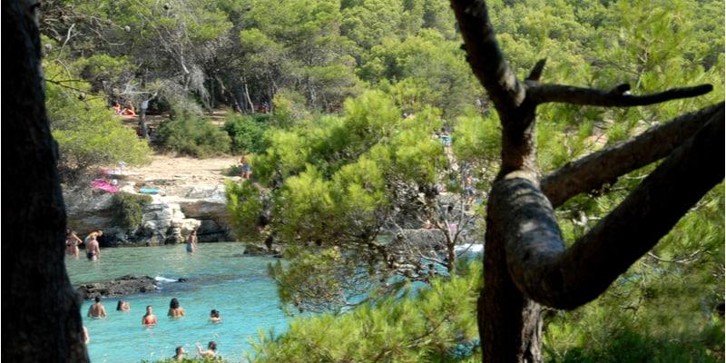 porto-selvaggio-immagine