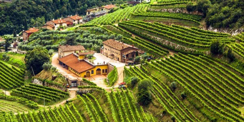 Strada del Vino Valpolicella: itinerario e mappa
