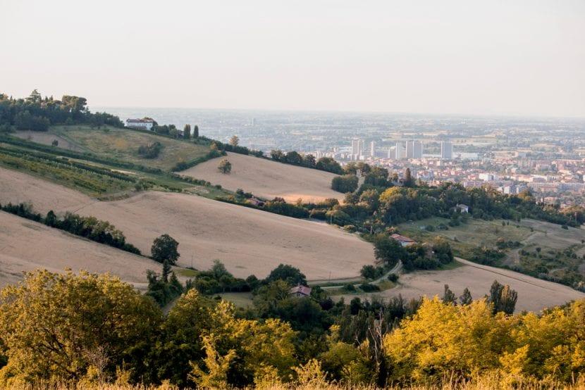 Colli Bolognesi