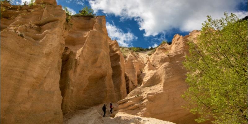 Lame Rosse