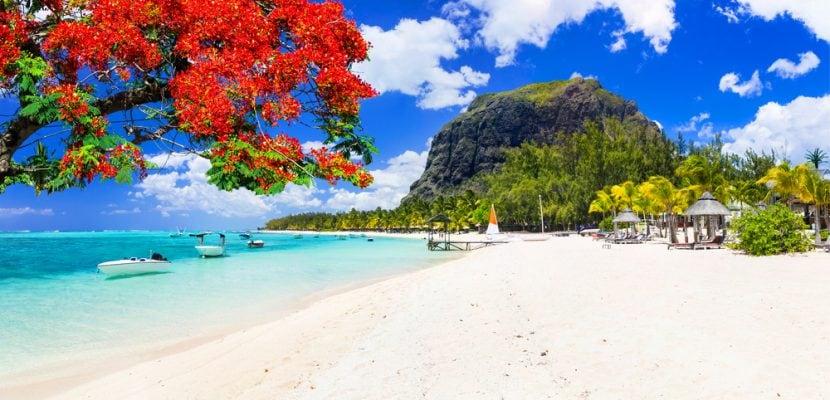 Silvester Mauritius