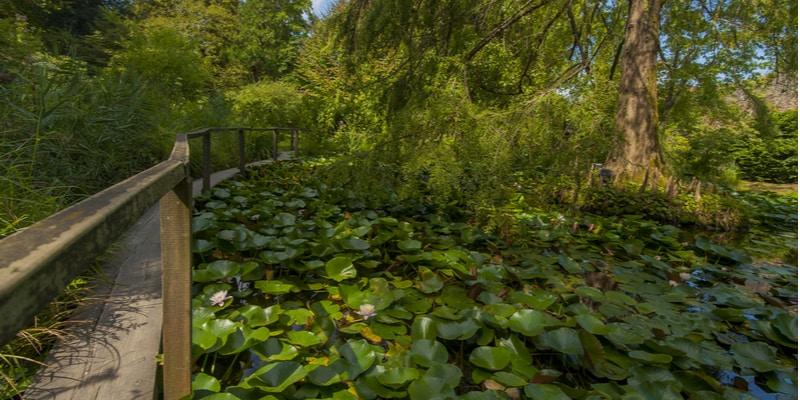 orto-botanico