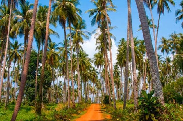 weniger-bekannte-inseln-thailand