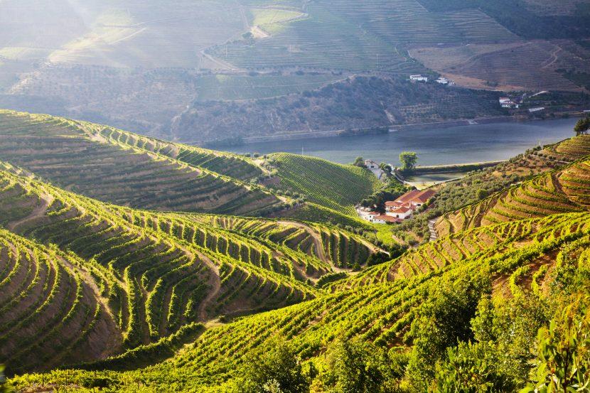 Douro-Tal