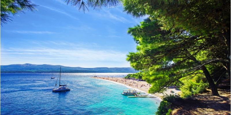 brac-cosa-vedere