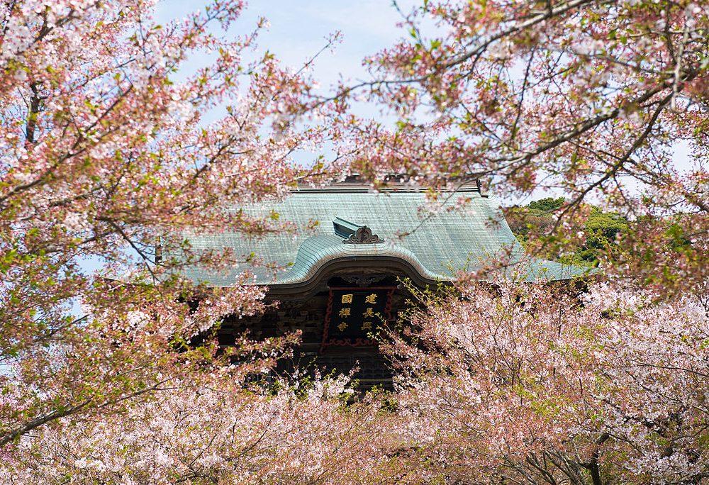 Das Kloster Engaku-ji