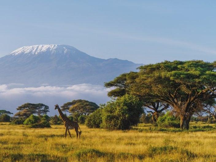 Erste Reise nach Afrika
