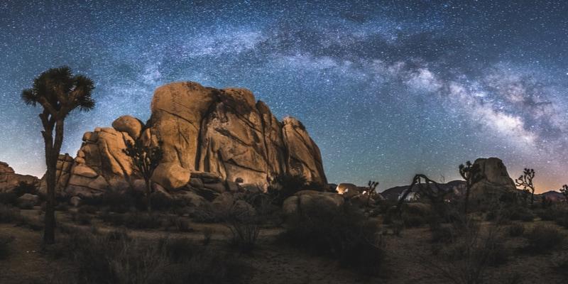 joshua-tree-national-park