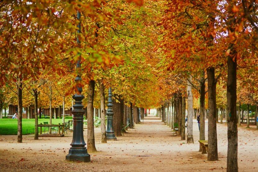 Laub Paris