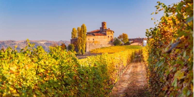 strada-del-barolo