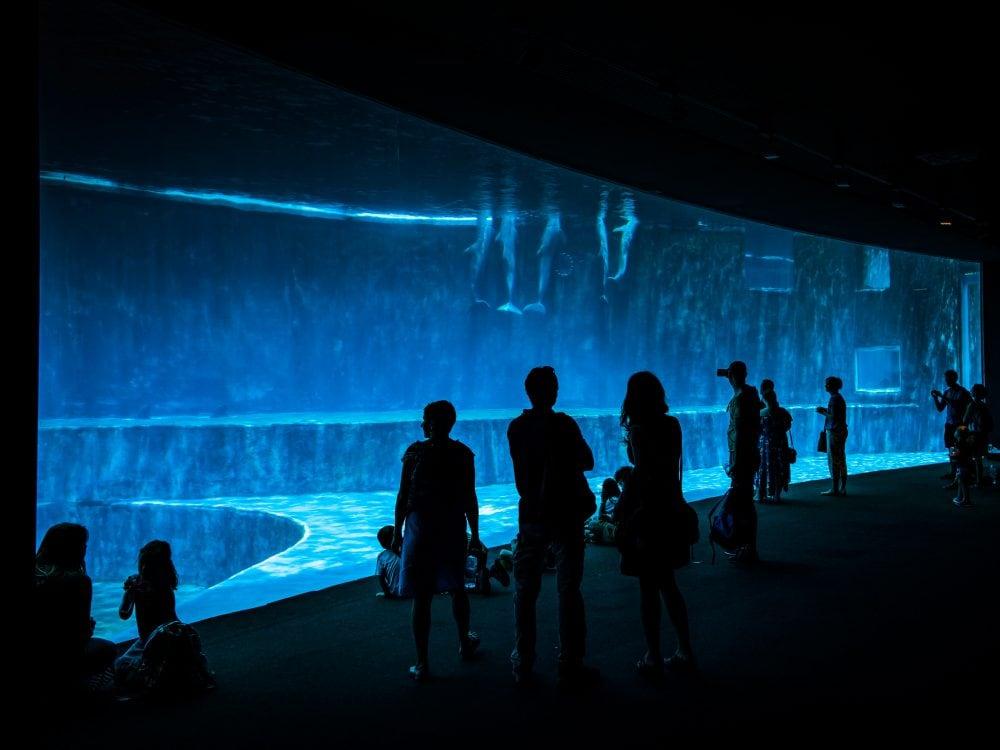 Aquarium von Genua