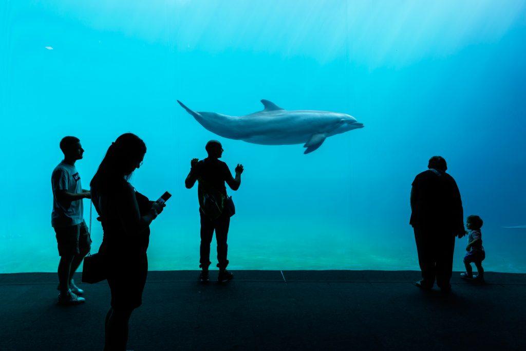 Aquarium von Genua