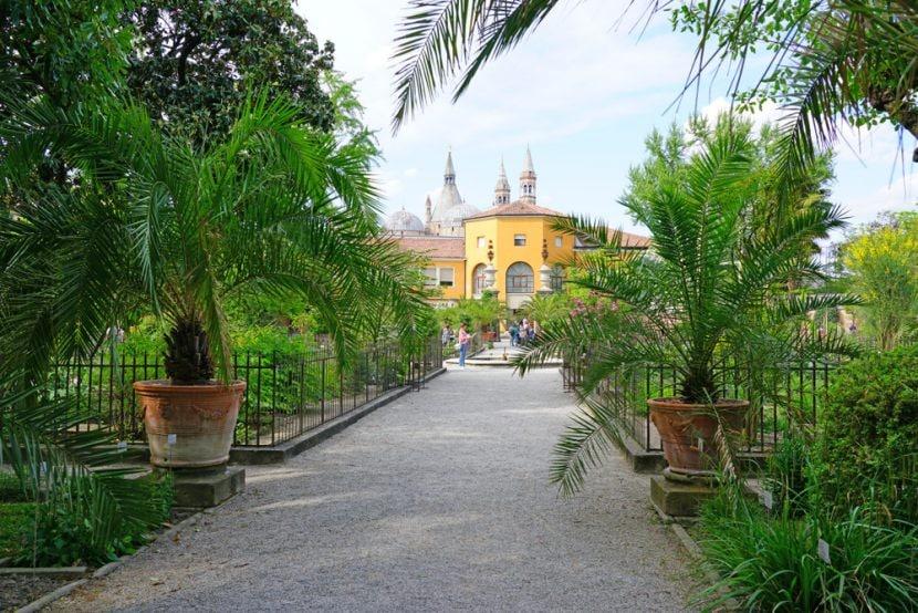 Botanischer Garten