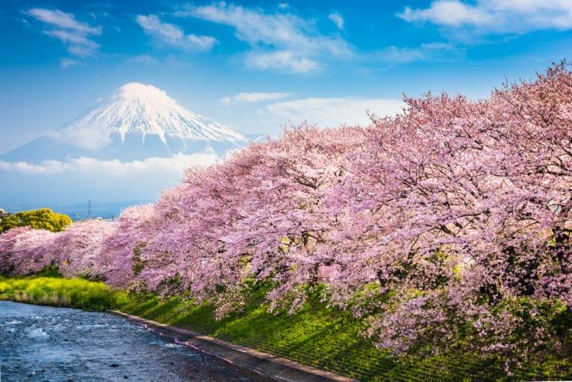 Mount Fuji