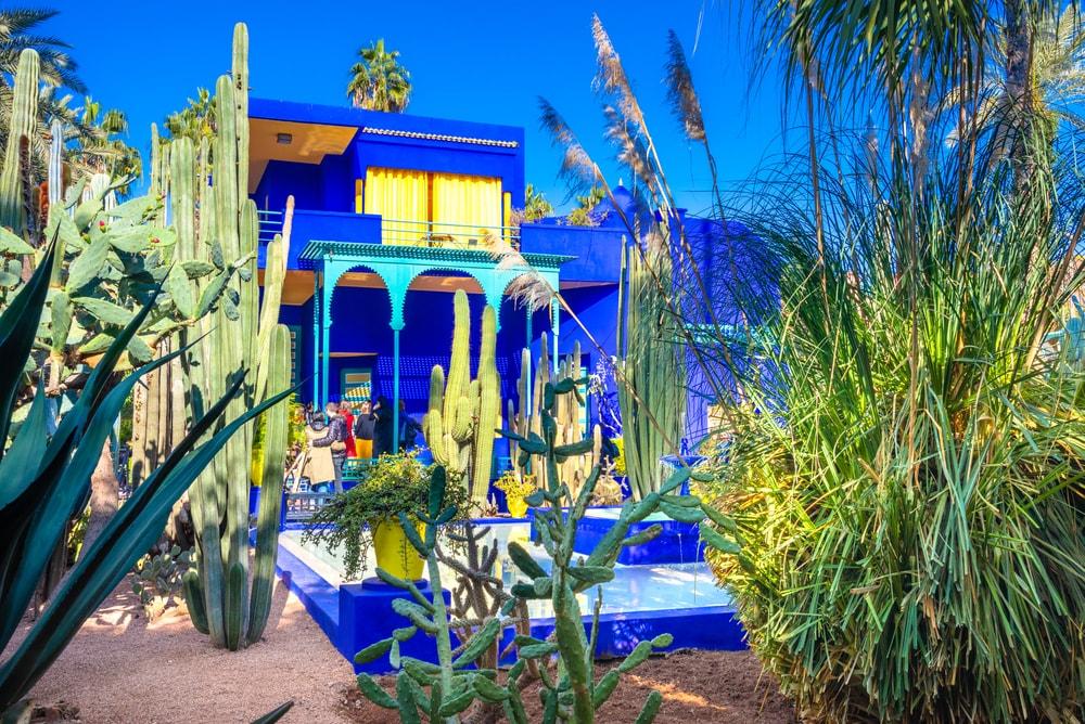 Jardin Majorelle: schönste Fotos