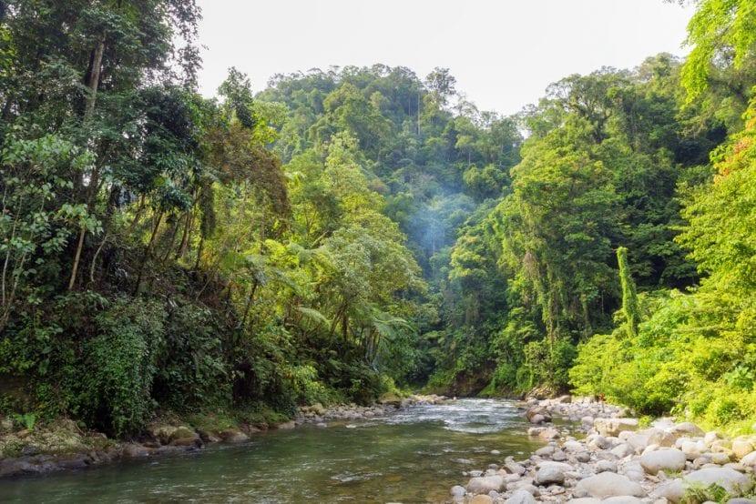 Gunung Leuser National Park