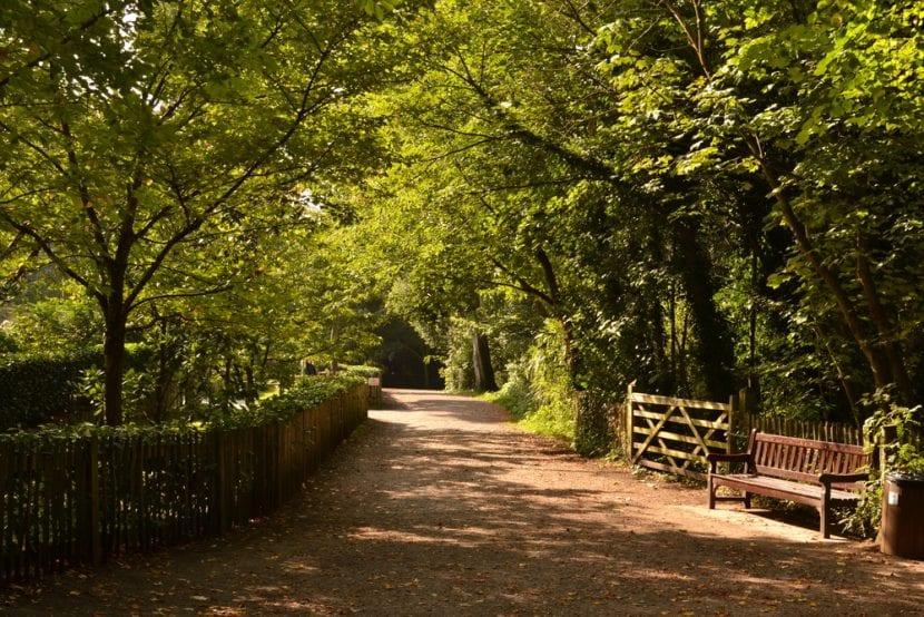 Holland Park