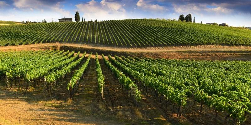 toscana-chianti