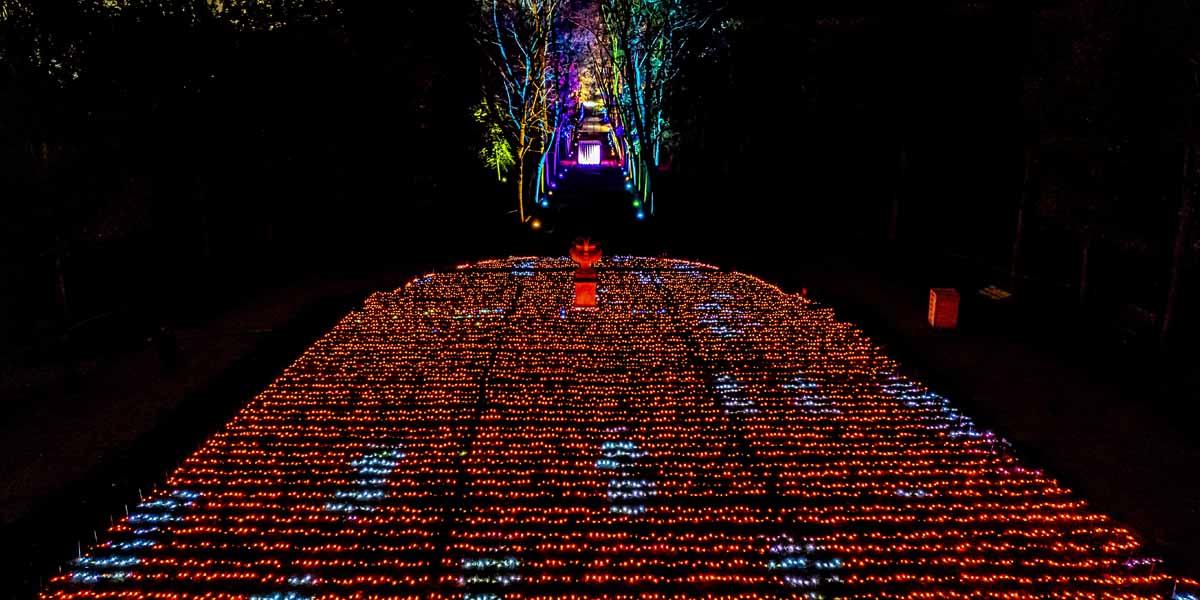 luminarie-natale-parigi-foto