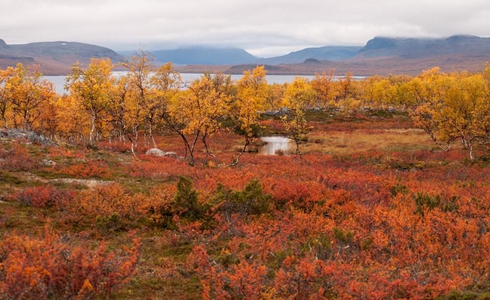 Herbst Nordeuropa