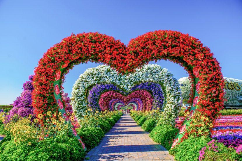 Miracle Garden