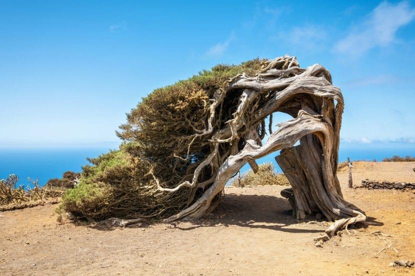 El Hierro