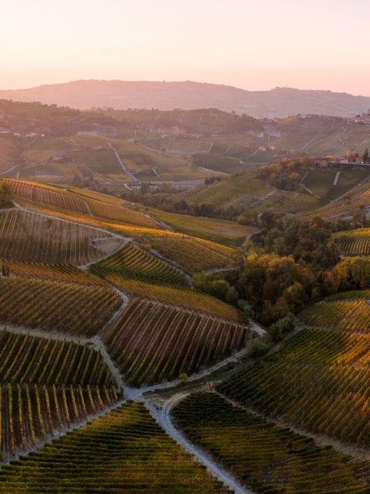 Die Magie der 'Masche' und das Geheimnis der bekanntesten Weinlagen im Piemont