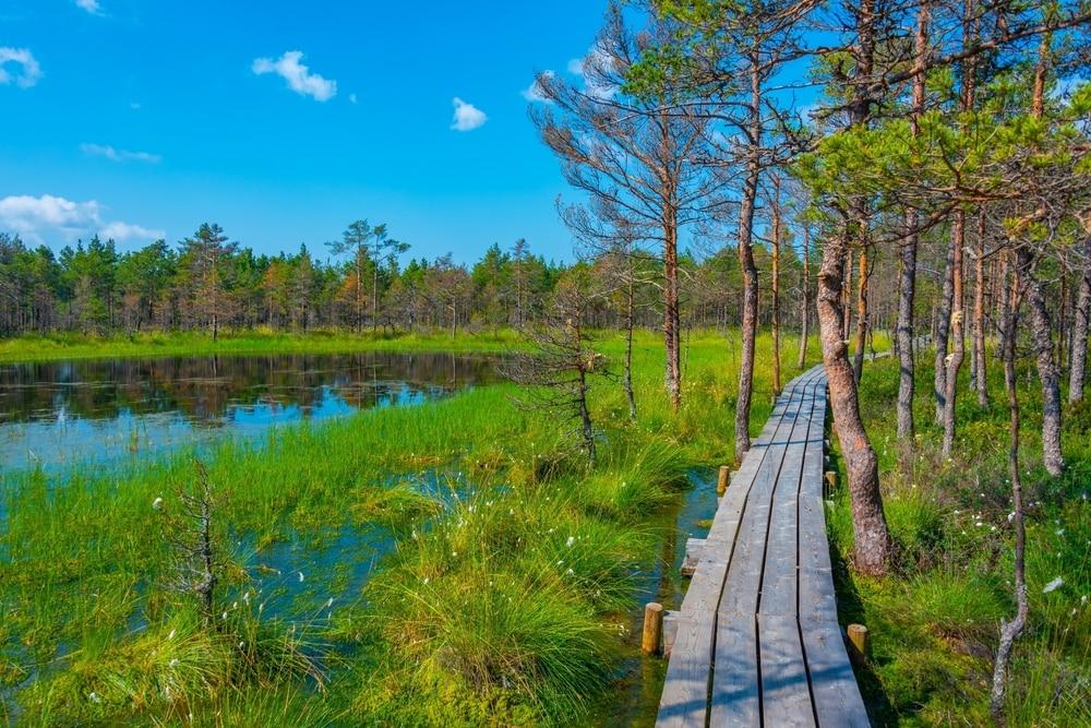 Lahemaa Nationalpark
