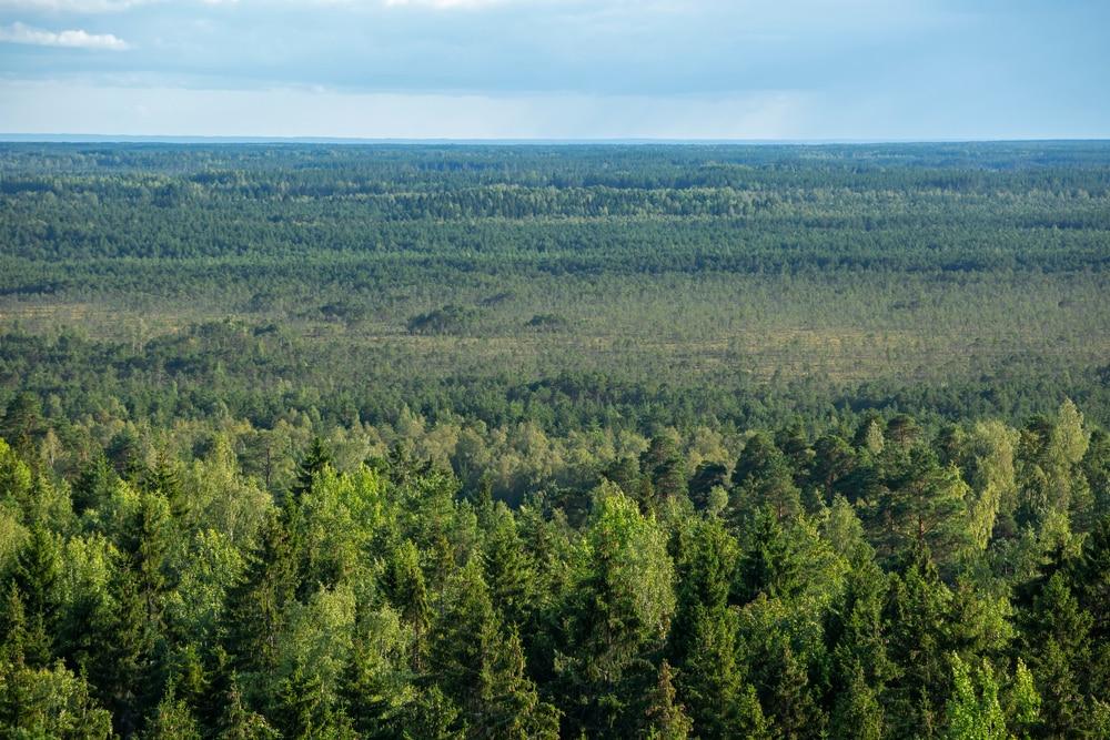 Alutaguse Nationalpark