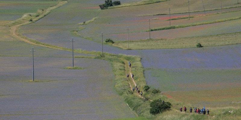 wanderung-durch-die-verwandten-laender-castelluccio-di-norcia