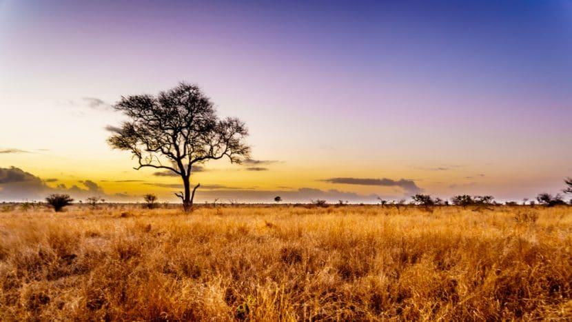 Kruger Nationalpark