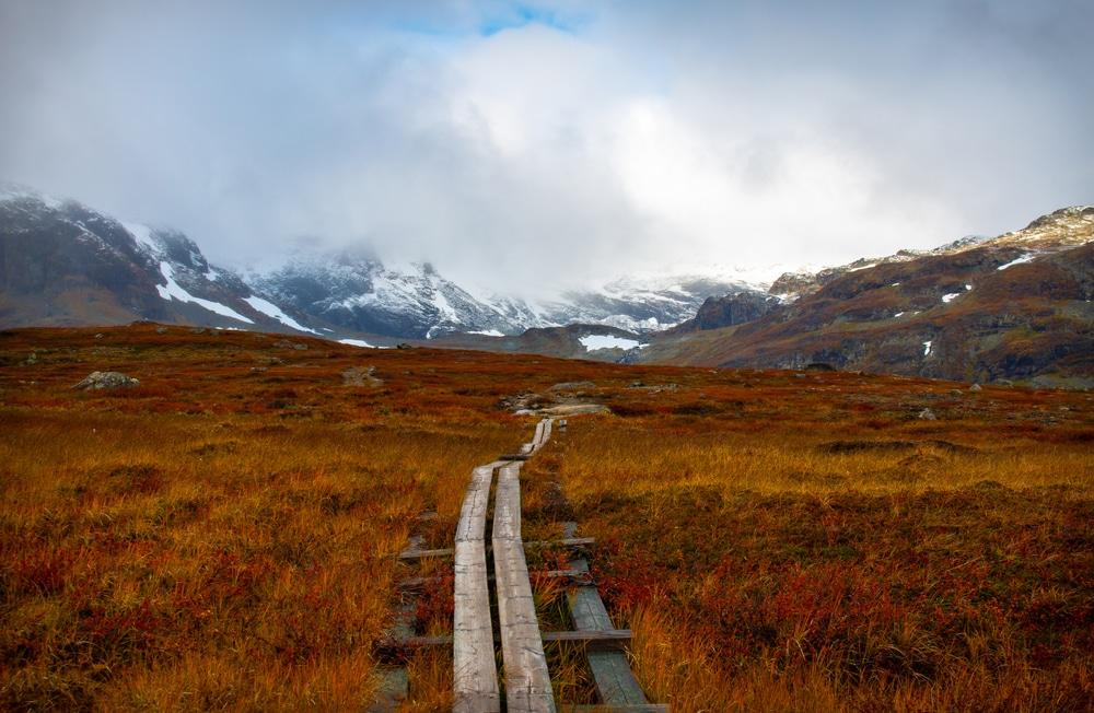 Kungsleden