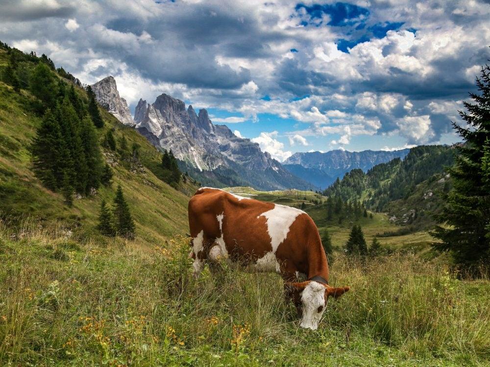 Val di Fiemme