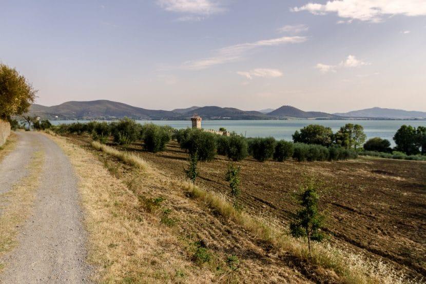 Polvese Insel