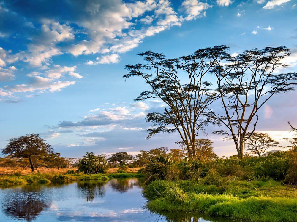 Serengeti-Nationalpark