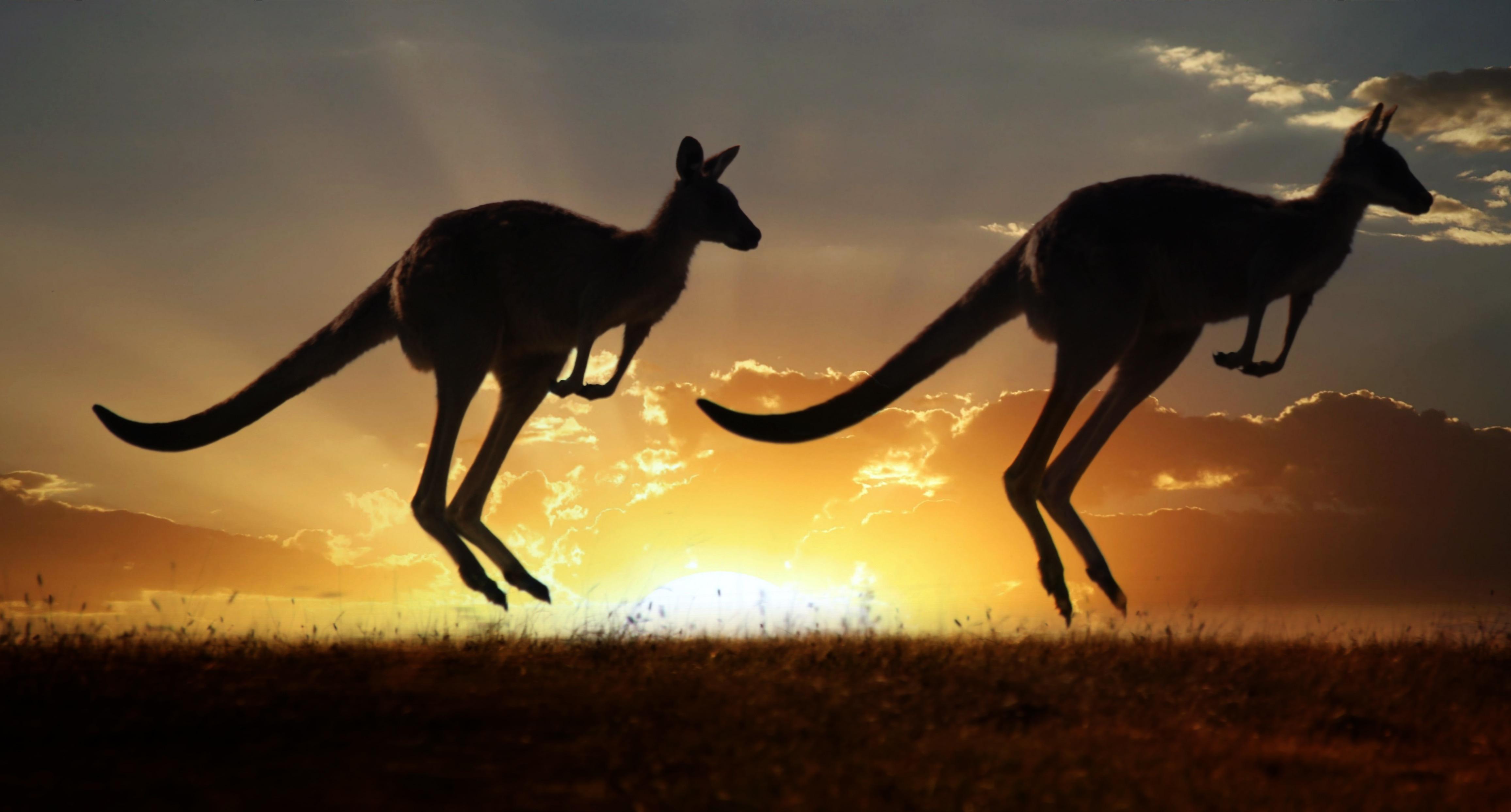 australien-wie-man-hinzieht