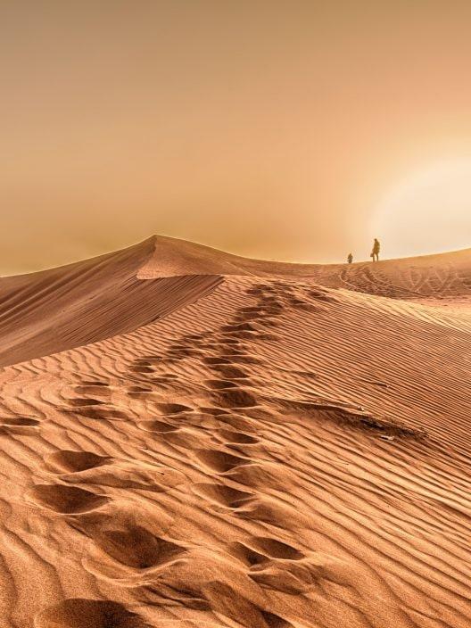 Wüste von Dubai: wie man dorthin gelangt und was man tun sollte