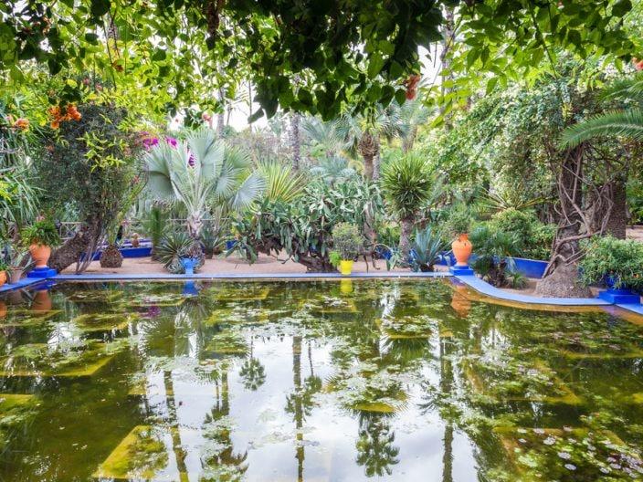 Jardin Majorelle
