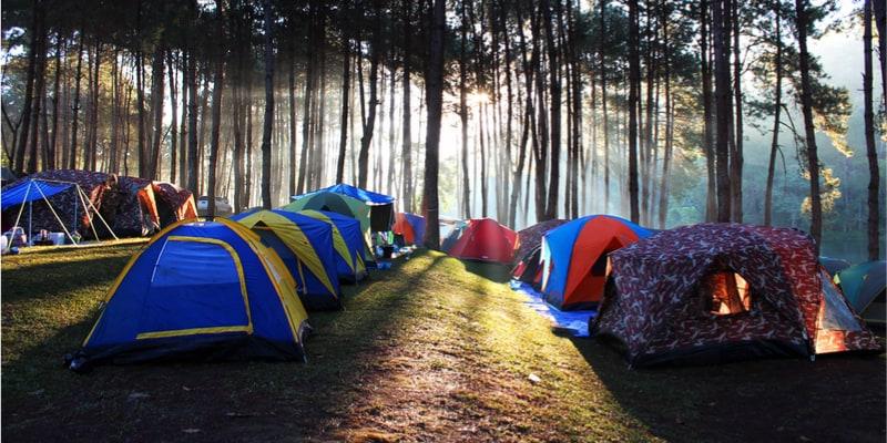 camping-wald