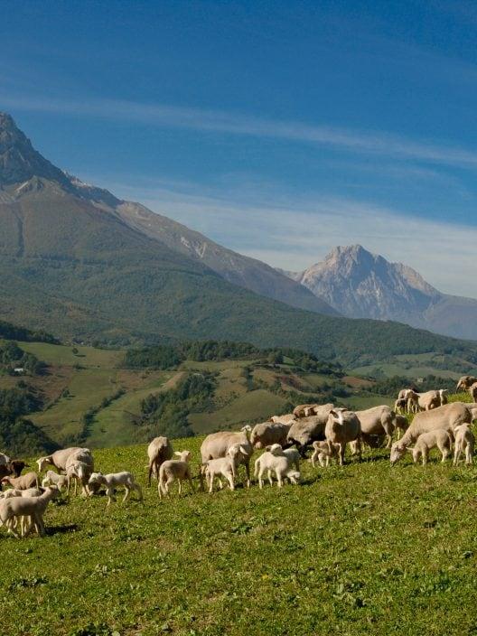 Verborgene Orte in Abruzzen, die wie aus einem Märchen wirken.