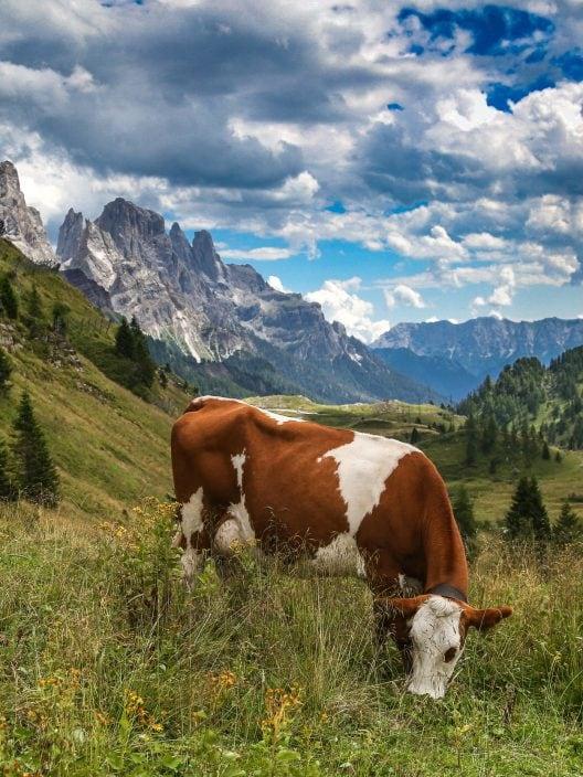 Ferragosto in den Bergen: das faszinierendste Tal der trentinischen Dolomiten