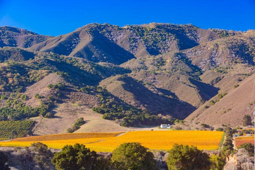 Salinas Valley
