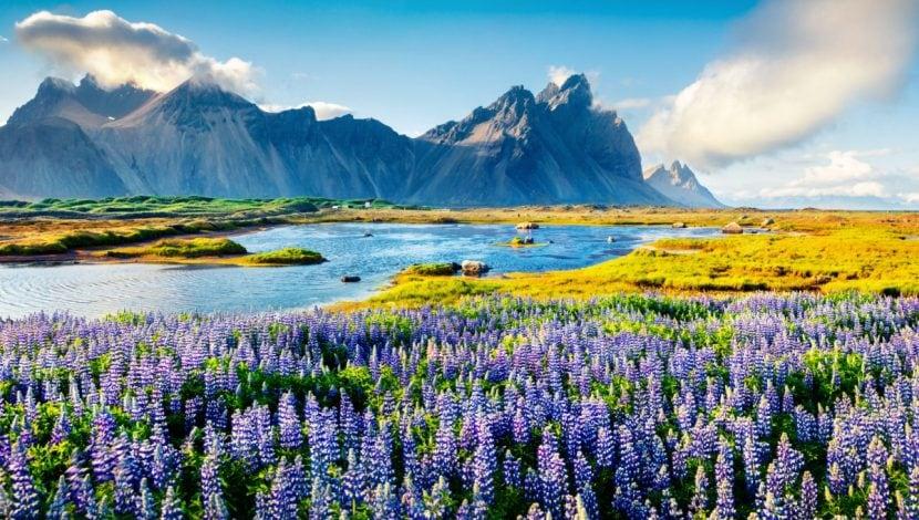 Island Reiseziele im Sommer