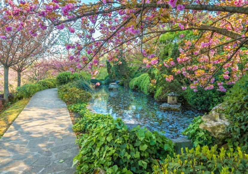 Botanischer Garten Rom