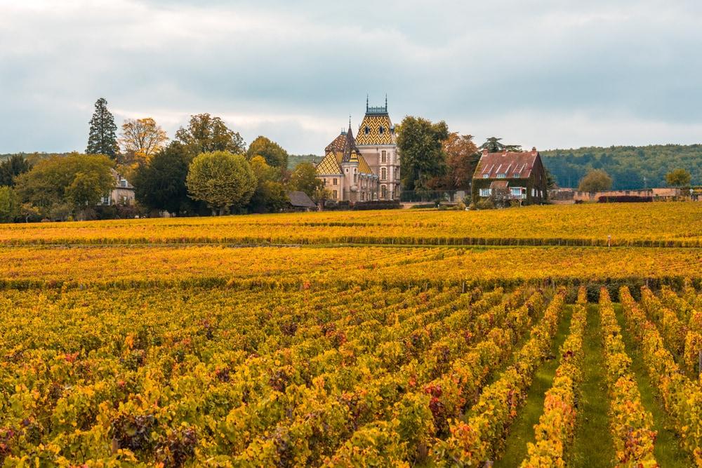Burgund