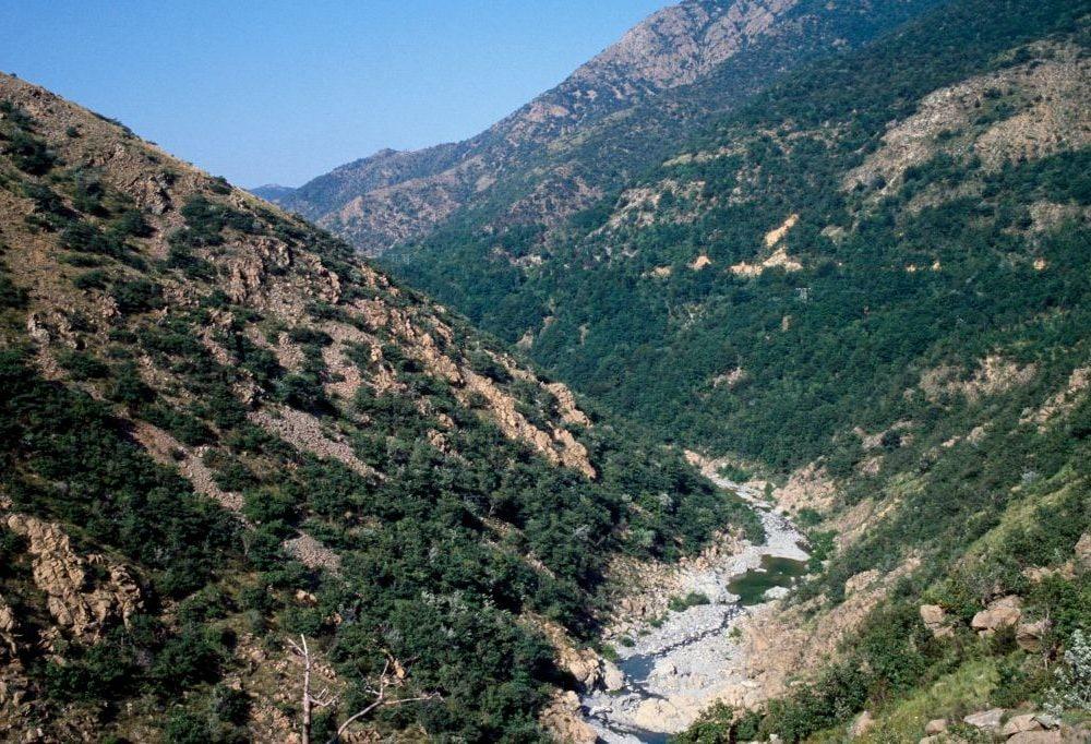 Rio Gorzente